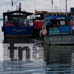 Hombre se lanzó a la bahía para huir de la Policía en el muelle de Bluefields Hombre se lanzó a la bahía para huir de la Policía en el muelle de Bluefields