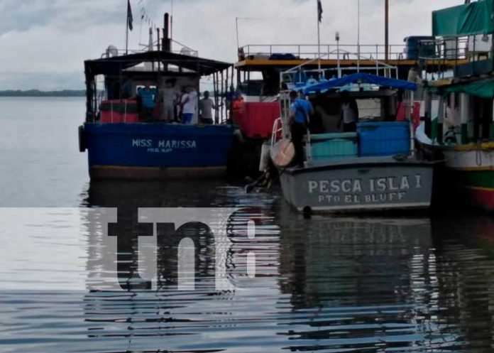 Hombre se lanzó a la bahía para huir de la Policía en el muelle de Bluefields