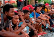 EEUU expulsa en 13 días al triple de haitianos que en los últimos 7 meses EEUU expulsa en 13 días al triple de haitianos que en los últimos 7 meses.