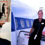 Azafata argentina de American Airlines detenida por contrabando Azafata argentina de American Airlines detenida por contrabando