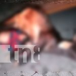 Motociclista perdió la vida tras impactar contra un semoviente nicaragua, managua, accidente,