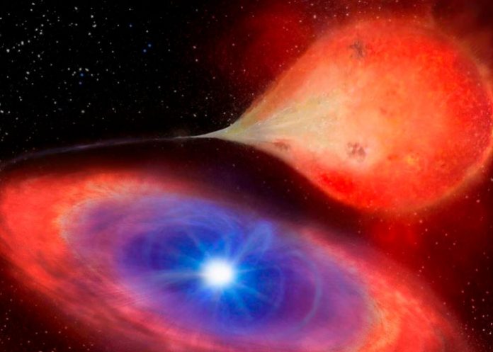 Primera observación de cómo se 