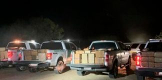Incautan más de una tonelada de marihuana en Texas