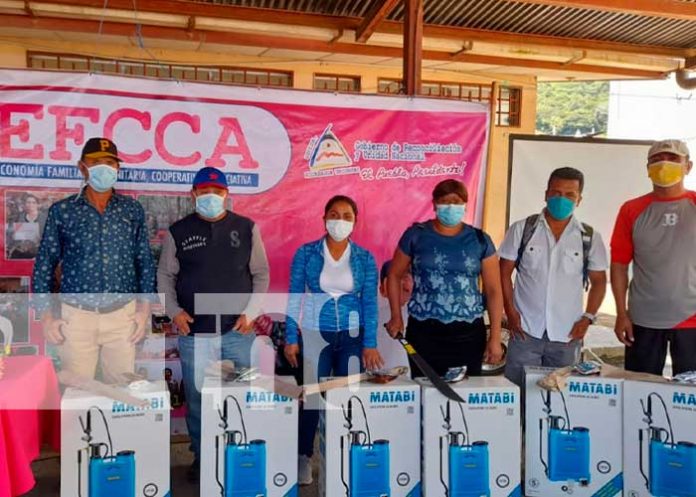 nicaragua, jinotega, produccion, agricultura,