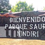 Nindirí es el único municipio que posee un parque con réplicas de animales milenarios Nindirí es el único municipio que posee un parque con réplicas de animales milenarios