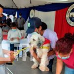 Brindan atención médica veterinaria a animales domésticos en Tipitapa