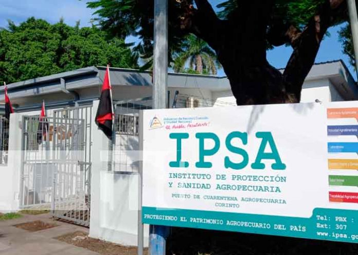 IPSA inaugura nueva infraestructura en Corinto, Chinandega