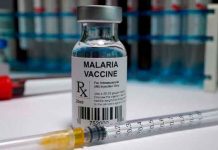 OMS recomienda extender el uso de vacuna contra la malaria en África