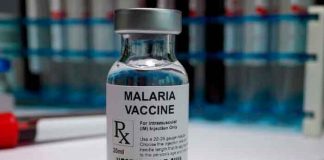 OMS recomienda extender el uso de vacuna contra la malaria en África