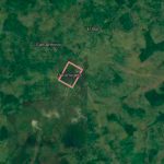 Salvaje crimen en El Tortuguero: ¿suegra quería matar a su yerno?