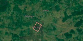 Salvaje crimen en El Tortuguero: ¿suegra quería matar a su yerno?