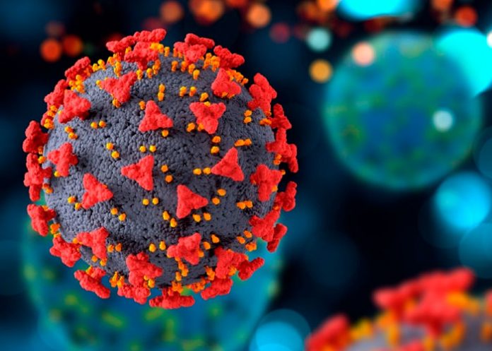 Austria detecta más de 30 casos de subespecie AY.4.2 de la variante delta