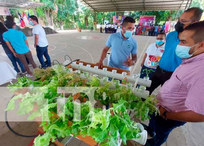 Desarrollan con éxito la 