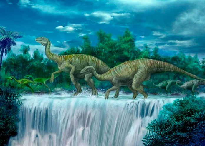 Paleontólogos descubren nueva especie de dinosaurio vegetariano en Australia