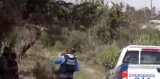 Encuentran calcinado el cuerpo de una mujer en Choloma, Honduras