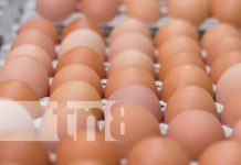 Producción de carne, pollo y huevo en Nicaragua de enero a octubre 2022 Huevo en un mercado de Nicaragua