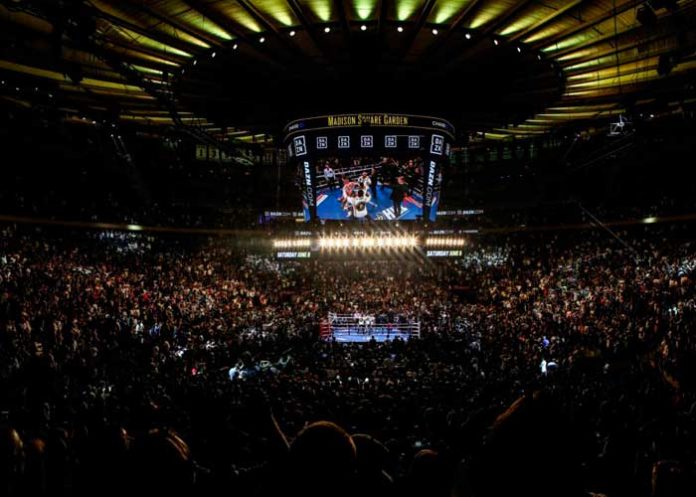 MSG madison, square, garden, boxeo, nicaragua, mayorga,