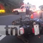 Motociclista grave al impactar contra equino en Carretera Sur Escena del accidente de tránsito en Carretera Sur por un equino
