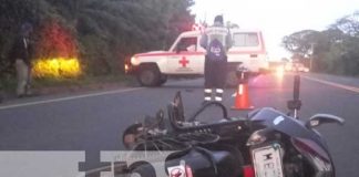 Escena del accidente de tránsito en Carretera Sur por un equino