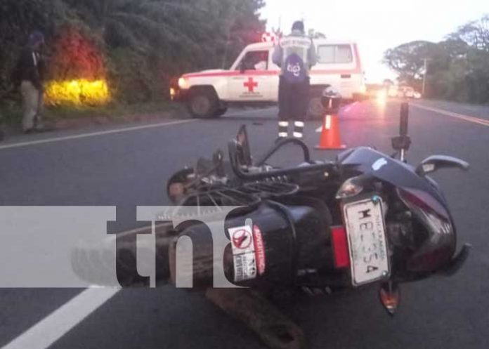 accidente-equino-03 Escena del accidente de tránsito en Carretera Sur por un equino