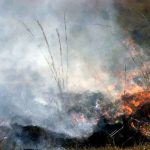 Incendios forestales arrasan miles de hectáreas en Argentina