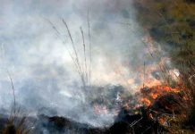 Incendios forestales arrasan miles de hectáreas en Argentina Incendios forestales arrasan miles de hectáreas en Argentina