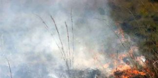 Incendios forestales arrasan miles de hectáreas en Argentina