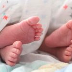 Pitbull mata a gemelas de mujer tras luchar 9 años para tener hijos Pitbull mata a gemelas de mujer tras luchar 9 años para tener hijos