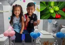 Dos hermanitos mueren envenenados al comer fruta del jardín de sus padres