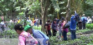 Relanzamiento de programa para plantas y naturaleza en Boaco