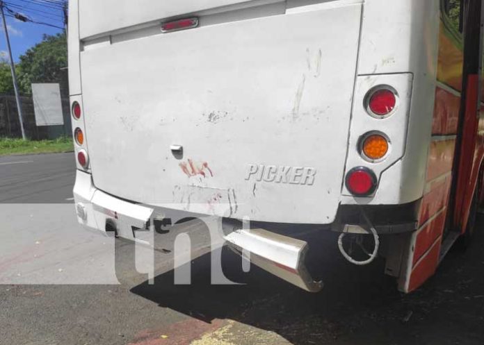 bus-1 Imprudencia vial provoca accidente en el sector de Villa Fontana