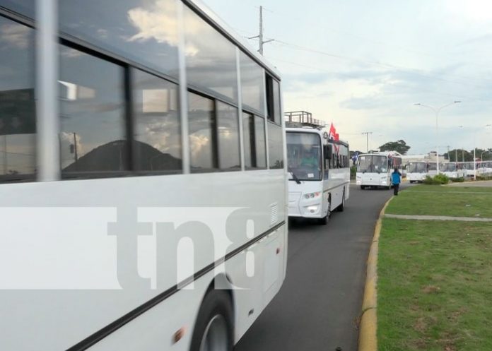 Modernización del Transporte Urbano Colectivo