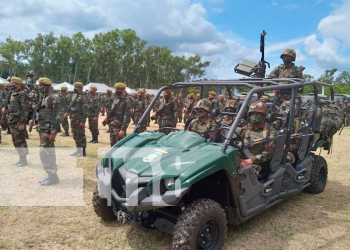 cafe2 Ejército y policía brindaran seguridad a la cosecha cafetalera