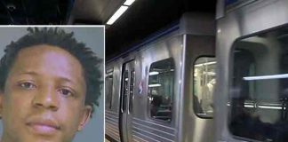 Pasajeros que presenciaron violación en un tren podrían enfrentar cargos