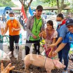Más de 300 cerdas se entregaron a mujeres de Río San Juan Entrega de bonos de cerdas en Río San Juan