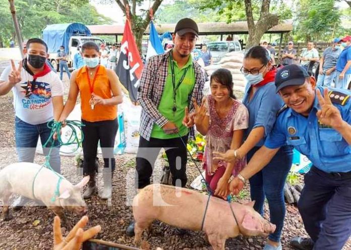 Entrega de bonos de cerdas en Río San Juan