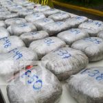 «Quiebran» en Chinandega a sujeto con 50 libras de marihuana Captura de delincuentes gracias a la Policía Nacional en Chinandega