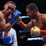 chocolatito, boxeo, gallo, pelea, trilogia