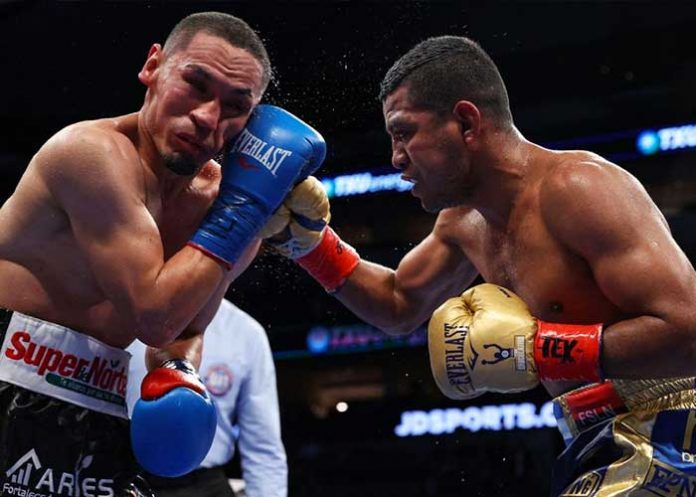 chocolatito, boxeo, gallo, pelea, trilogia