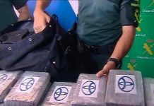 Incautan en España 700 kilos de cocaína procedente de El Salvador Incautan en España 700 kilos de cocaína procedente de El Salvador