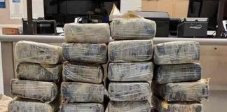 Hallan flotando en las costas de Florida 1,2 millones de dólares en cocaína