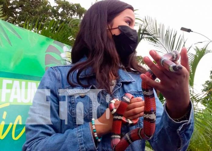 Nicaragua: concurso de fotografía para la belleza en flora y fauna