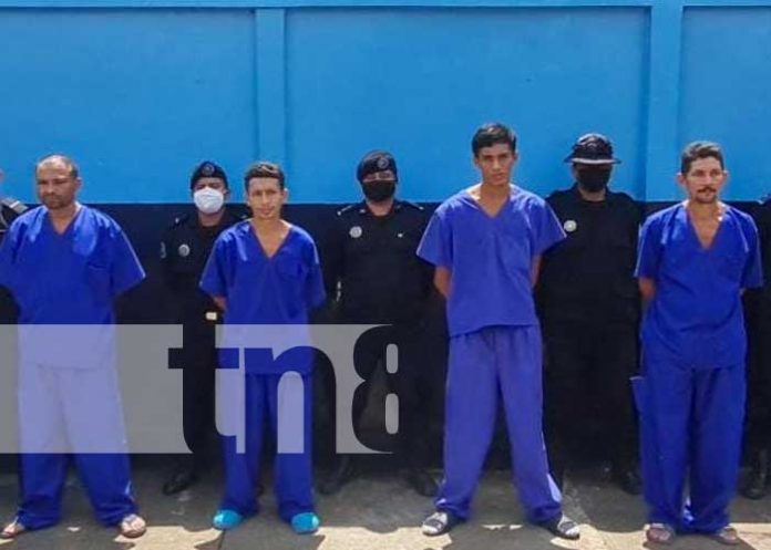 Detienen a ocho delincuentes en Río San Juan