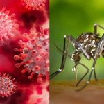 Declaran alerta roja en Cartagena, Colombia por aumento en casos de dengue Declaran alerta roja en Cartagena, Colombia por aumento en casos de dengue