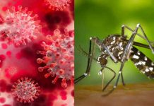 Declaran alerta roja en Cartagena, Colombia por aumento en casos de dengue Declaran alerta roja en Cartagena, Colombia por aumento en casos de dengue