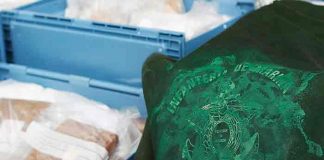 50 toneladas de drogas habrían salido de Ecuador a países de Centroamérica