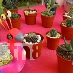 Pequeños emprendimientos son certificados por el MEFCCA en Río San Juan Certificación de emprendimientos en Río San Juan