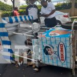 Se poncha triciclo de eskimos y vendedor sufre lesiones en Managua Se poncha triciclo de eskimos y vendedor sufre lesiones en Managua