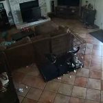 Escalofriante: Captan a un fantasma que le quitó el collar a un perro