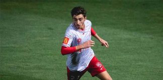josh, cavallo, futbol, australia